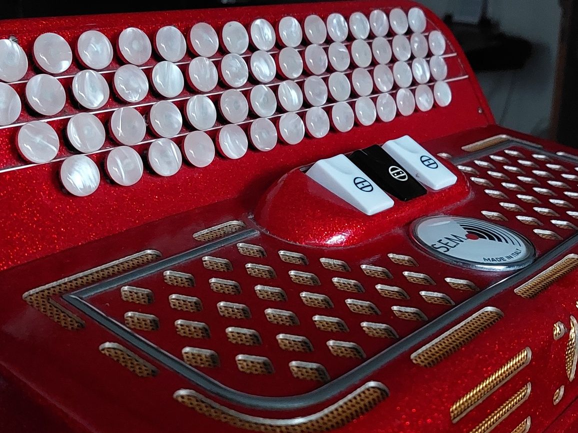 Acordeon / Acordeão Piermaria
