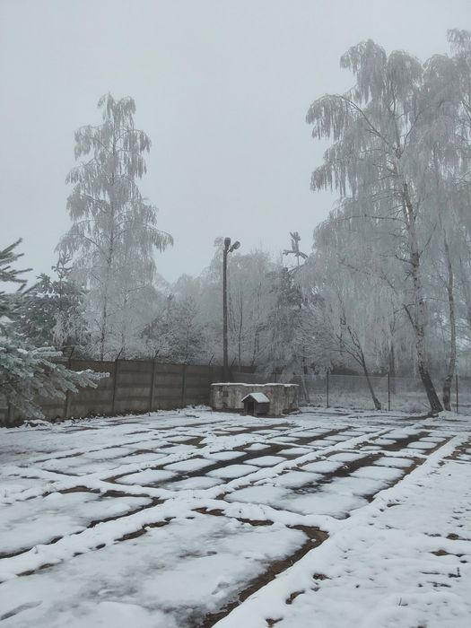 Nowy plac parkingowy przy A1 Łódź Brzezińska 336