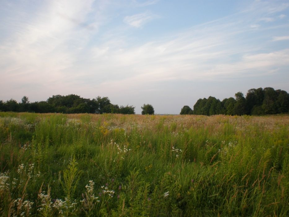 Продаж земельної ділянки. ТЕРМІНОВО