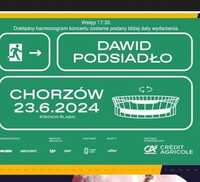 Koncert Dawid Podsiadło Chorzów- cena niższa