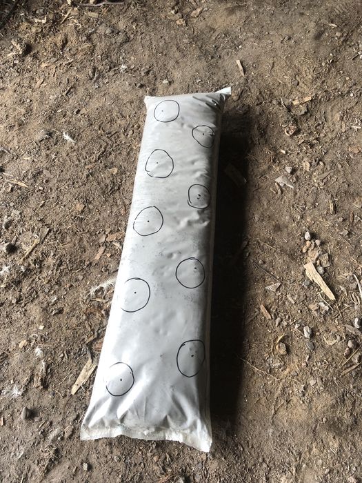 Плівка, рулон, рукав