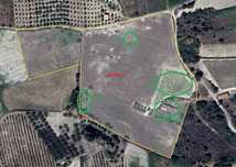 Terreno Rústico 30.000m² – Plano, c/ Vinha, Lagoa, Poço e Construções
