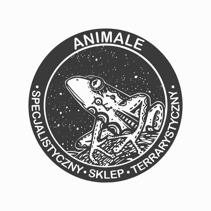 Wąż zbożowy nr 15. Albino, SAMIEC - sklep terrarystyczny ANIMALE