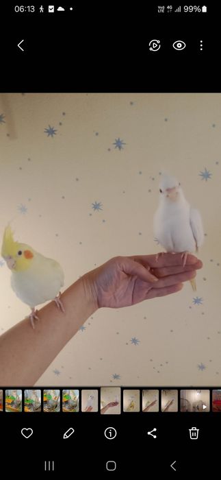 Отдам большую клетку