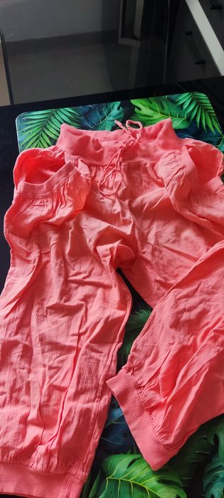 Rybaczki pomarańczowe