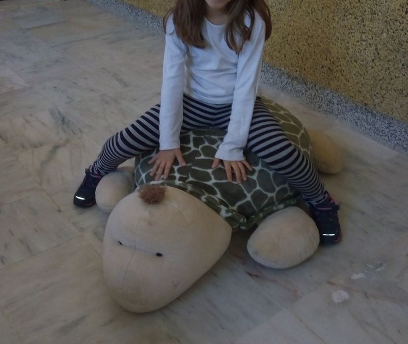 Peluche tartaruga