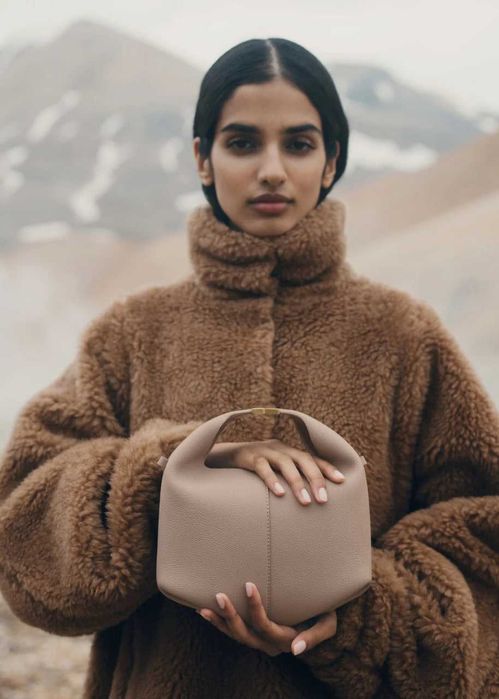 Сумка Polene Beri Textured Leather Taupe