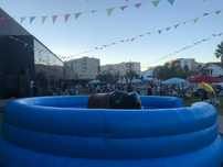Touro mecanico / Surf mecanico com insuflavel