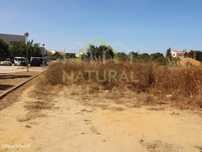 Lote de Terreno em Montenegro