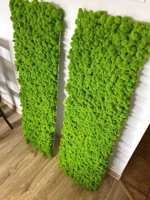 Panele z Mchu Chrobotka, Panel z Chrobotka na Wymiar