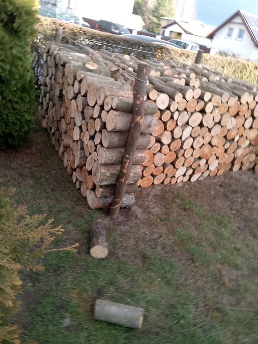 Drewno opał. buk