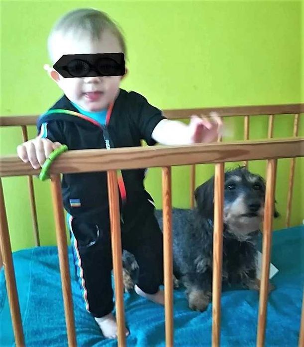 Zestaw: dresik z kapturem + t-shirt z kr. rękawkami rozmiar 62/68 cm