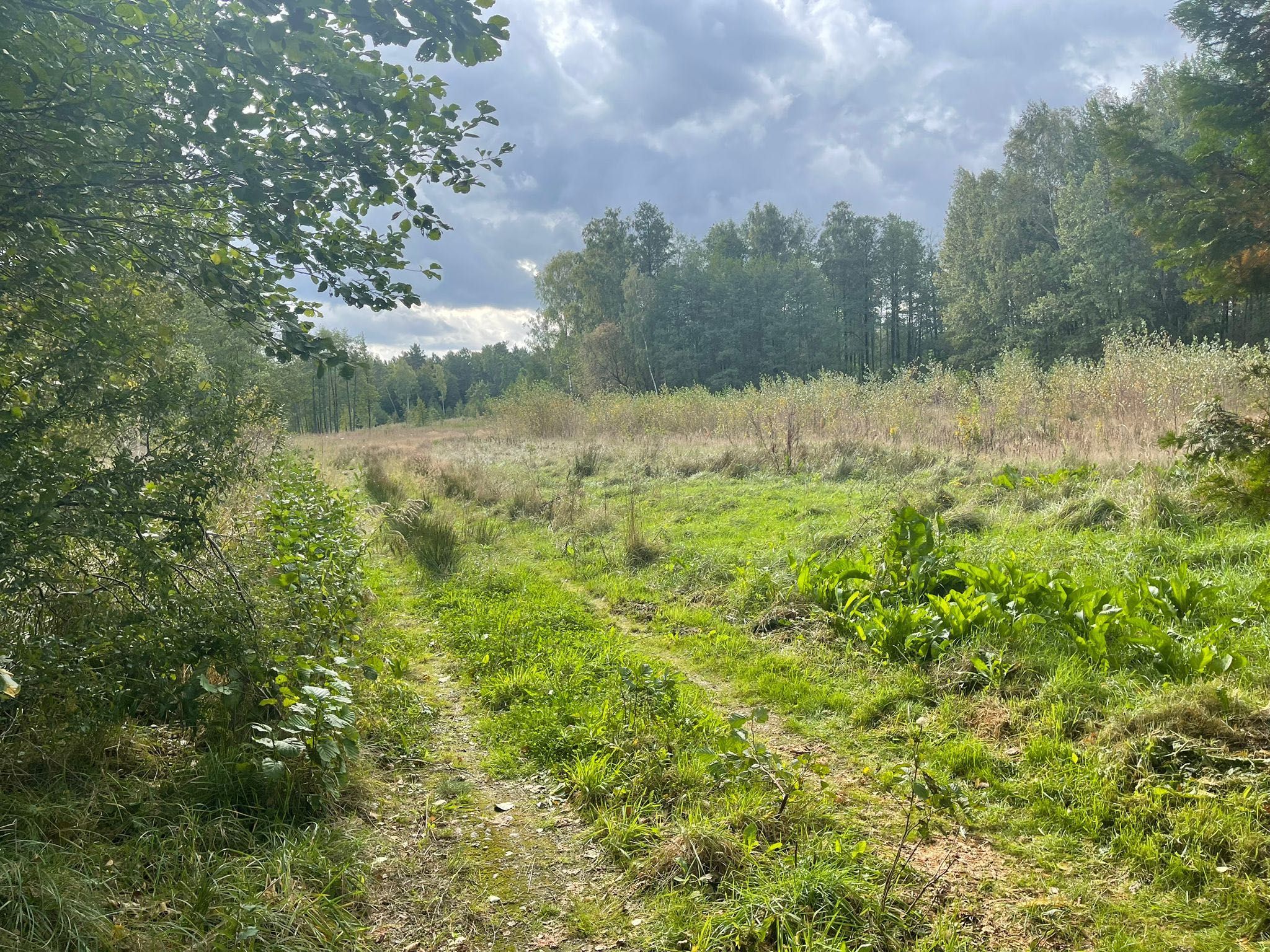 Sprzedam piękną działkę. Solniczki pod dom jednorodzinny 1514m