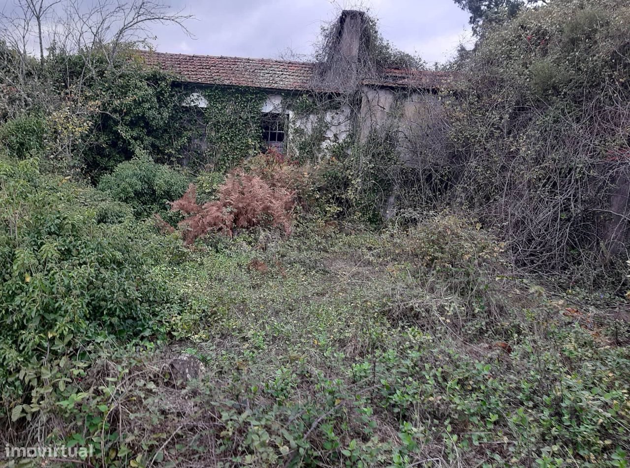 Vende Quinta em Paraíso Castelo Paiva