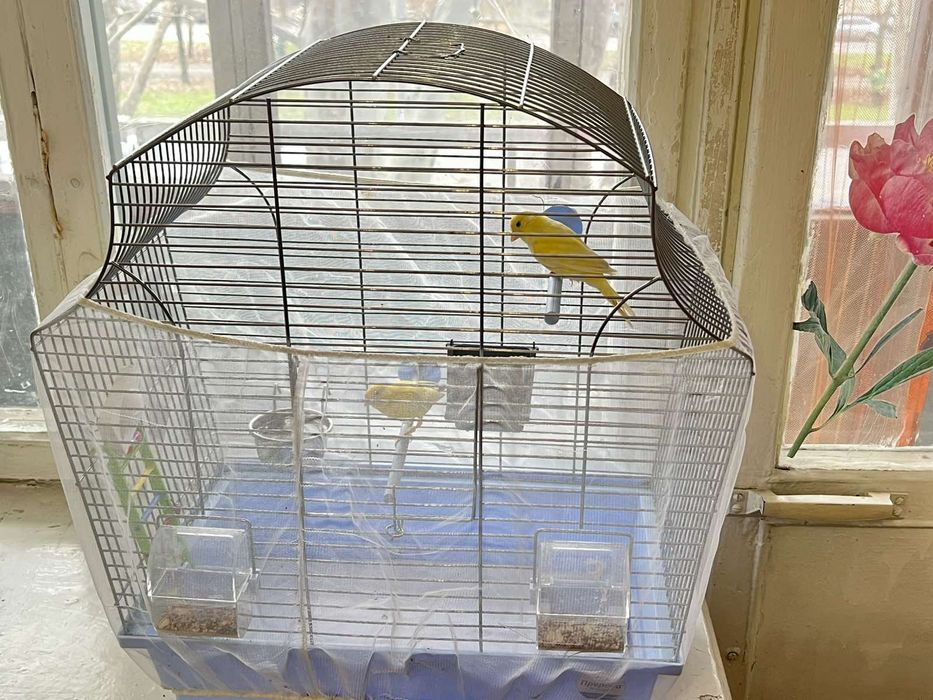 Продам клетку для Конора!!! Срочно!!!