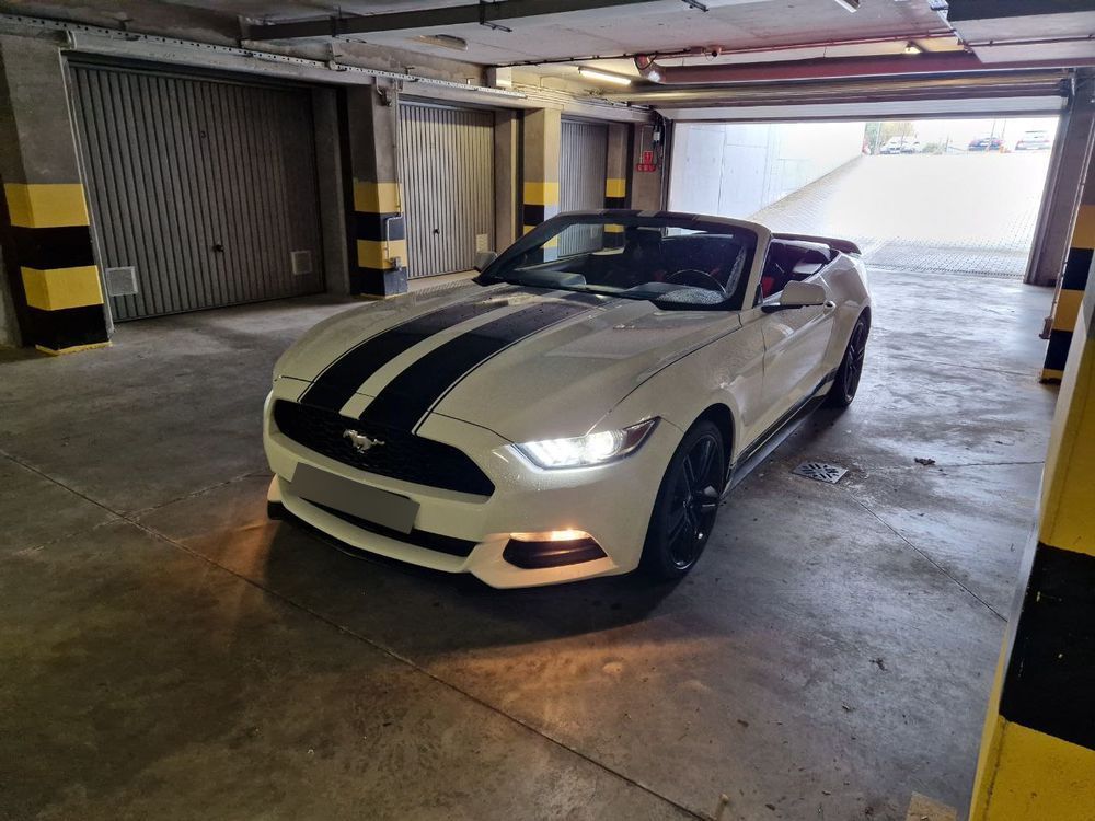 Ford Mustang Mustang Cabrio Piękny. V6 305km. Sportowy Wydech
