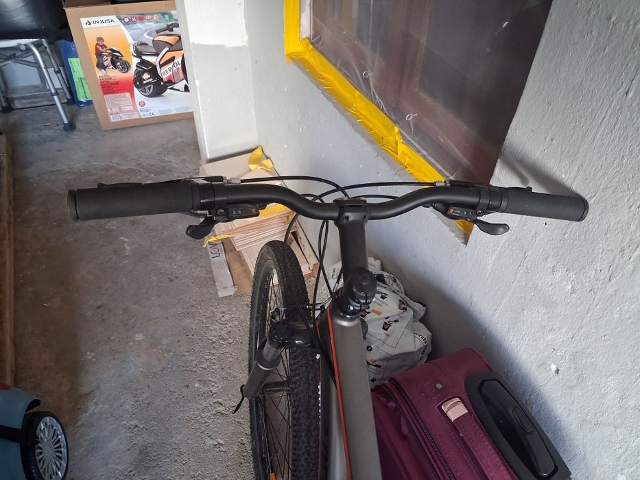 Bicicleta jovem adulto