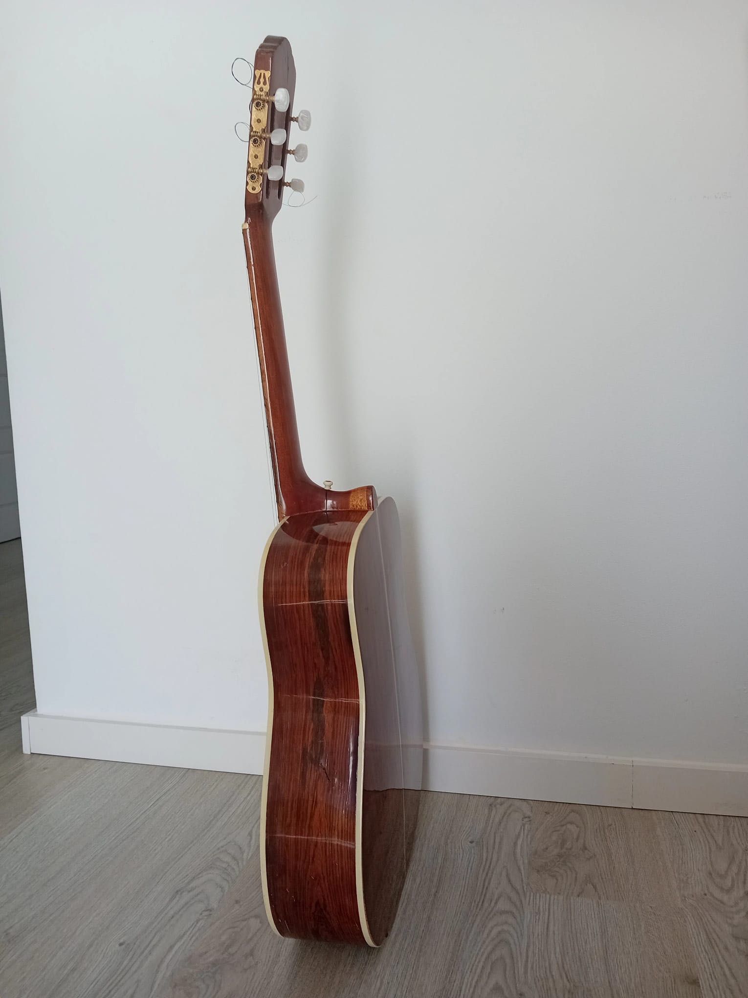 Guitarra Acústica DiGiorgio (1974) - Peça de colecionador