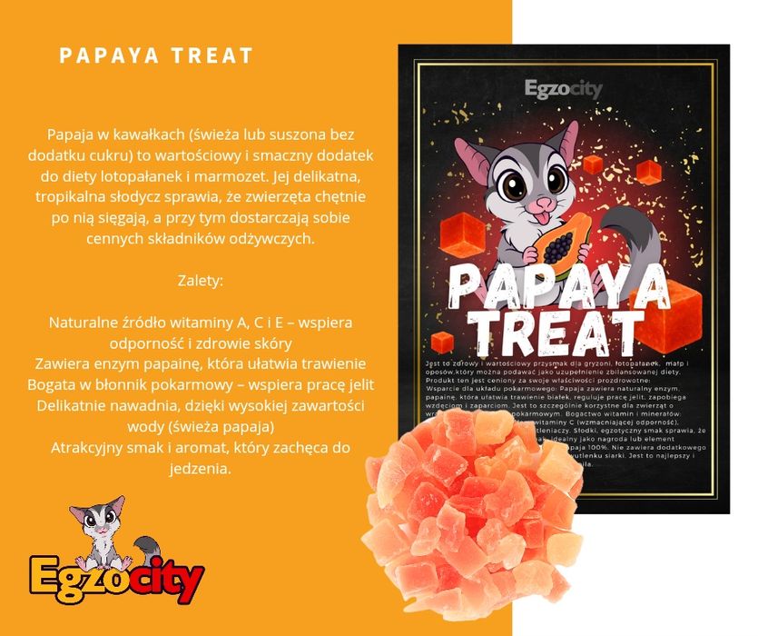 Lotopałanka karłowata zestaw