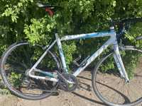Шосейний велосипед scott spedster ( canyone shimnao mavic