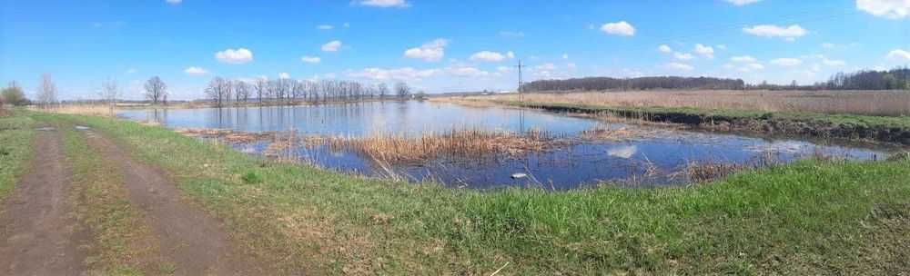 Staw hodowlany, działka w ładnej okolicy / łowisko rekreacja biznes