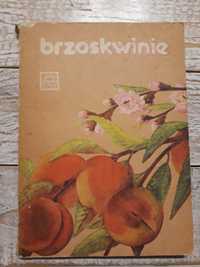 Brzoskwinie. Zasady uprawy