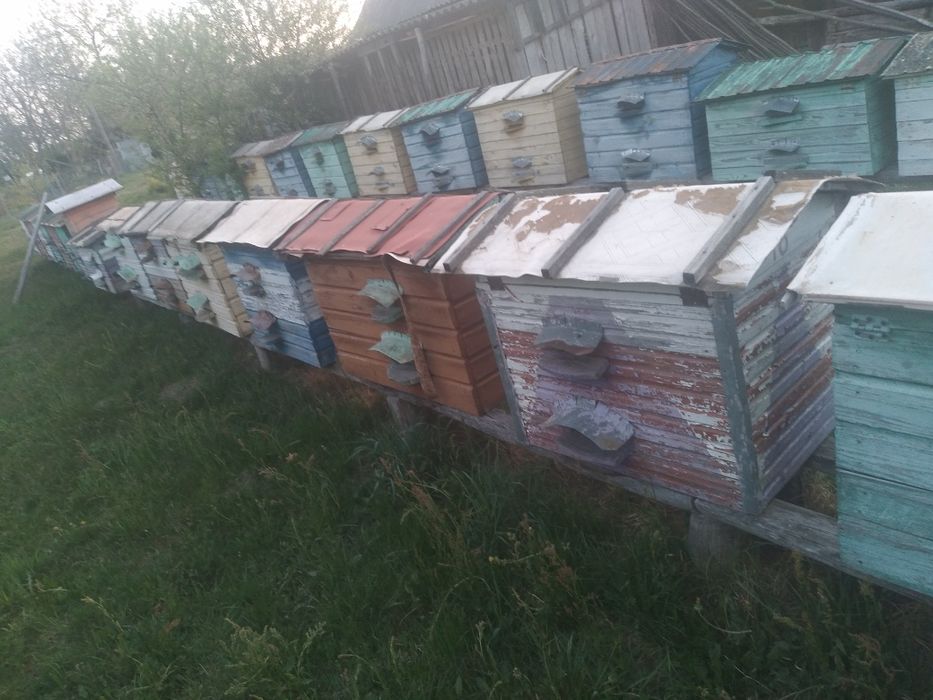 Продам вулики різні