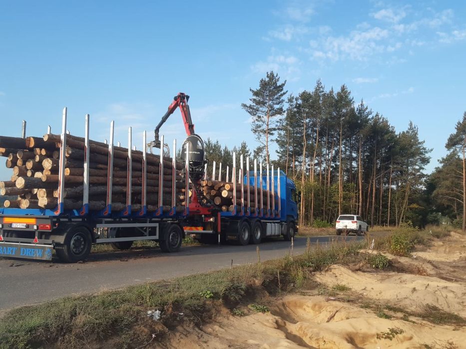 Transport Drewna - cała Polska, usługi transportowe