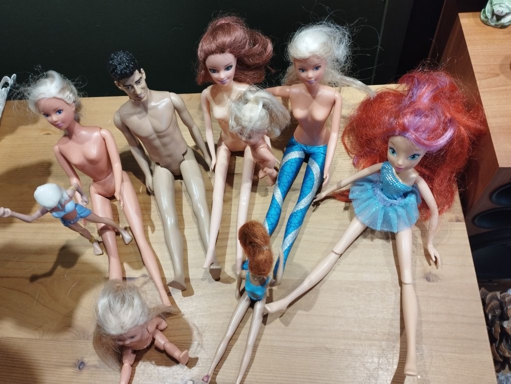 Lalki Barbie, Ken i inne
