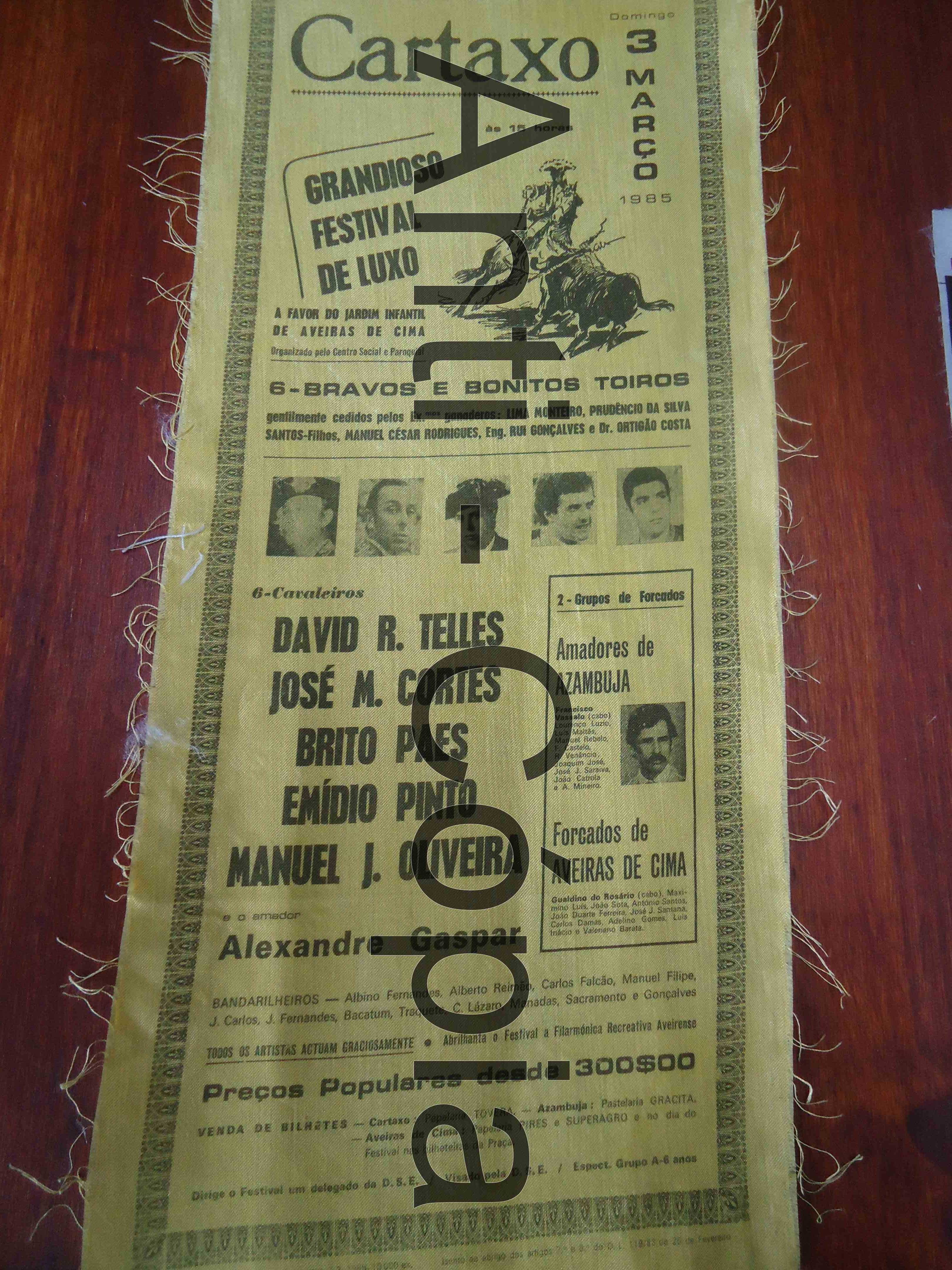 Toiros - Programas em Seda 2