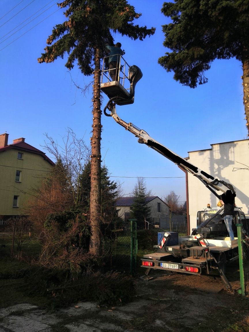 Karczowanie czyszczenie działek wycinka drzew wyburzenia roboty ziemne