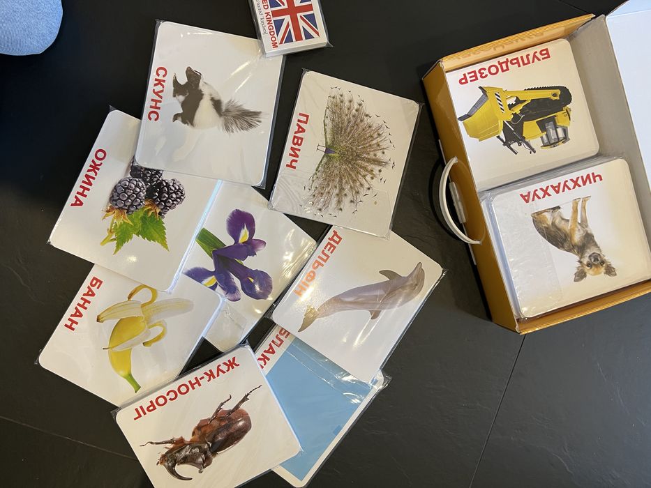 Вундеркінд з пелюшок Велика валіза - картки Домана