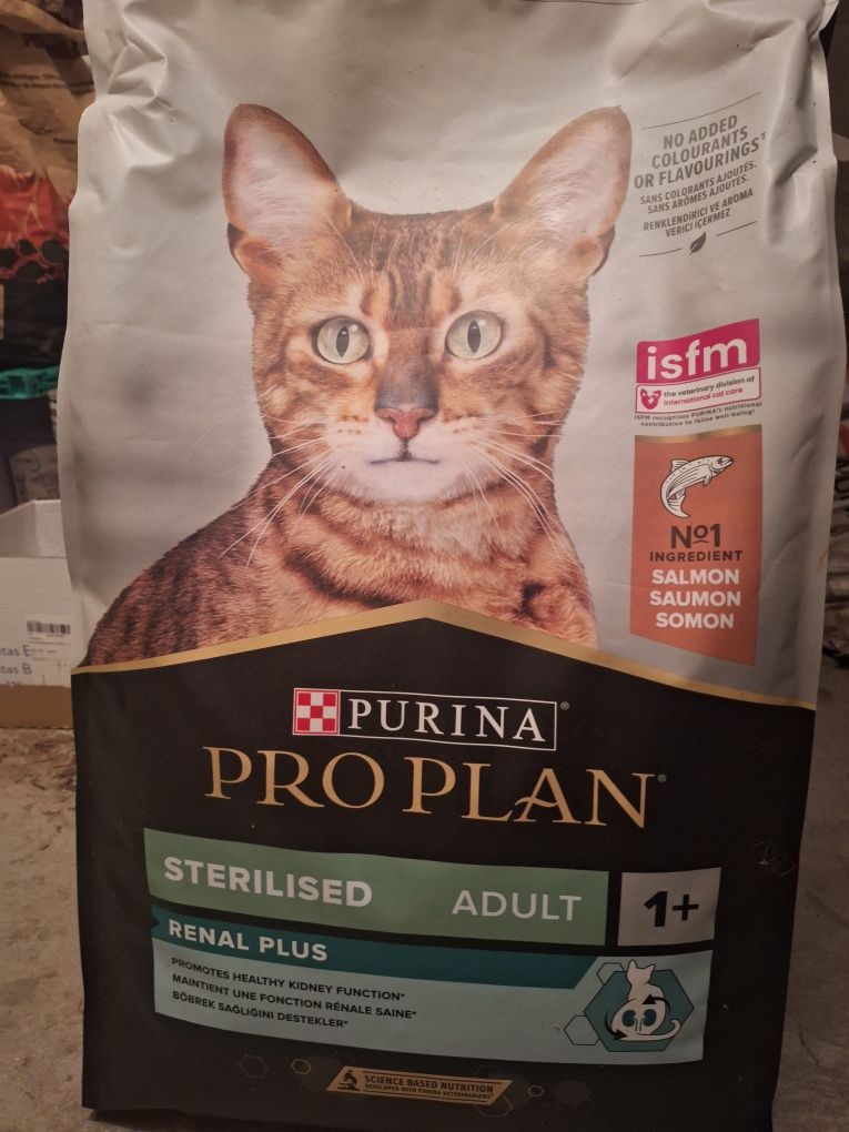 Areia aglomerante para gato