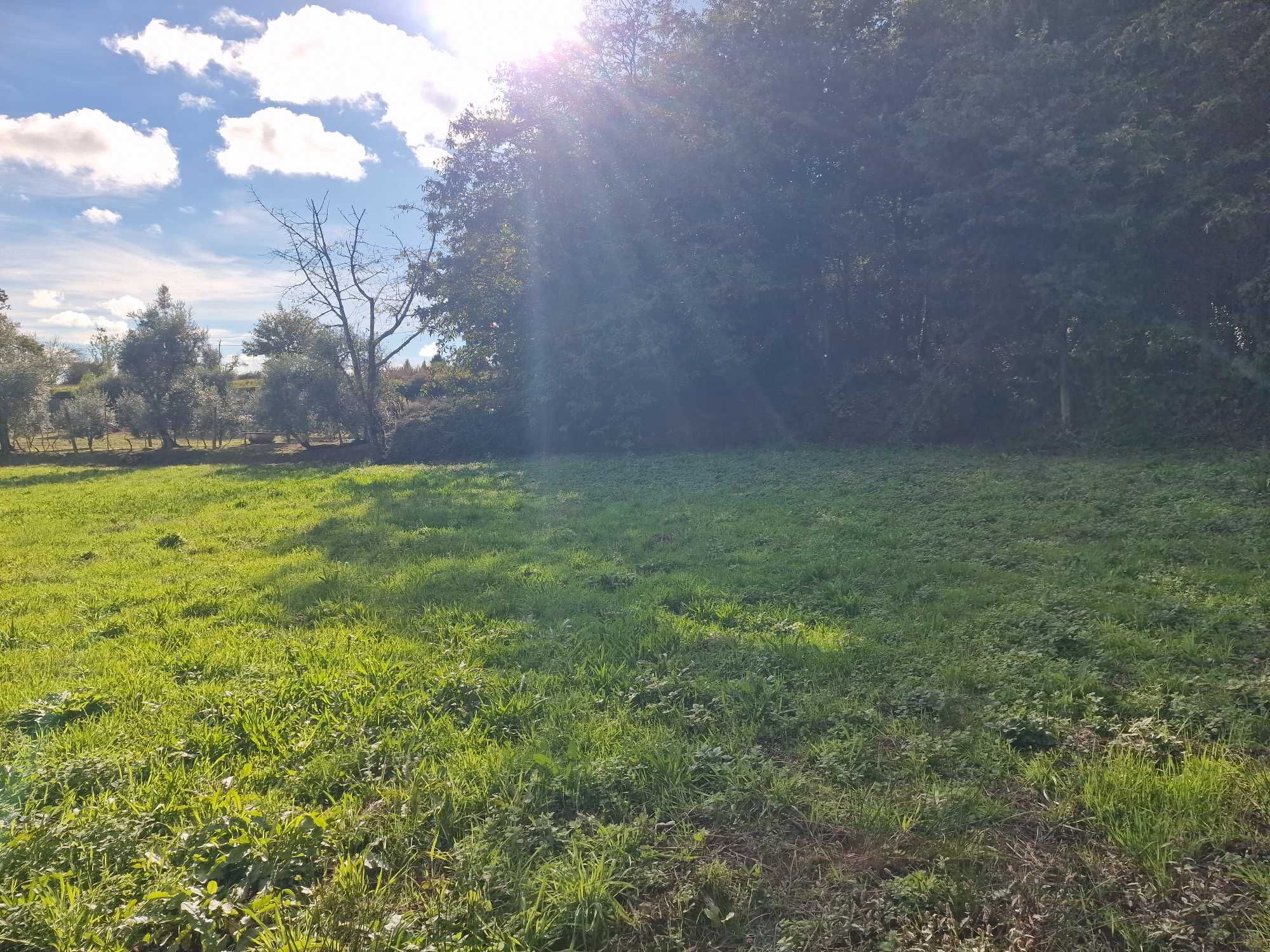 TERRENO À VENDA EM CAVERNÃES