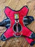 Szelki dla psa firmy Ruffwear, dla psa w typie Border Collie