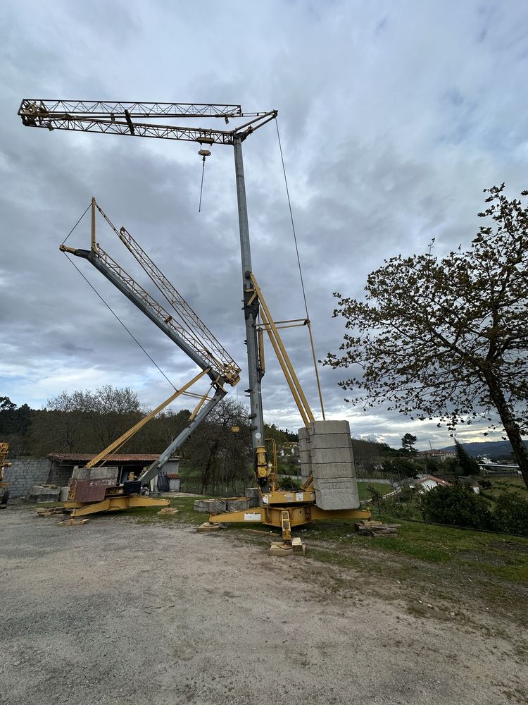 Grua automontante Potain hd21