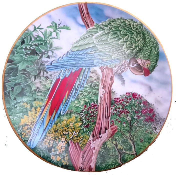 Jóias Vivas da Floresta Tropical - - - - - Pratos