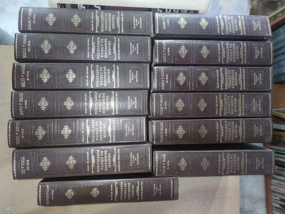 Livro - Grande Dicionário da Língua Portuguesa 13 volumes