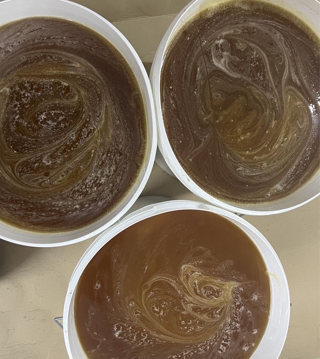 miód wielokwiatowy pasieka wędrowna rodziny słoik miody