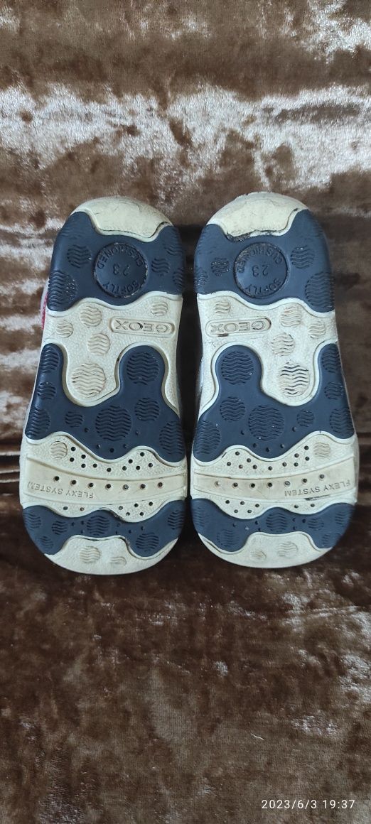 Geox adidasy 23  dla chłopca