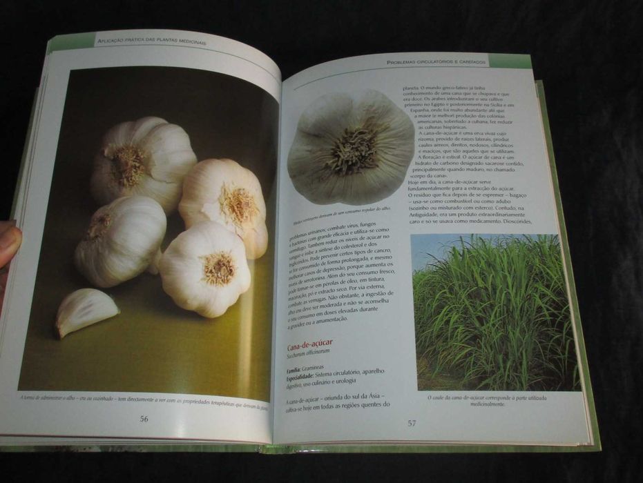 Livro Novo Guia das Plantas Medicinais Ediclube