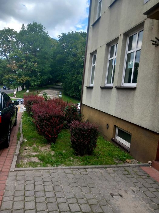 Wynajmę pomieszczenie na biuro