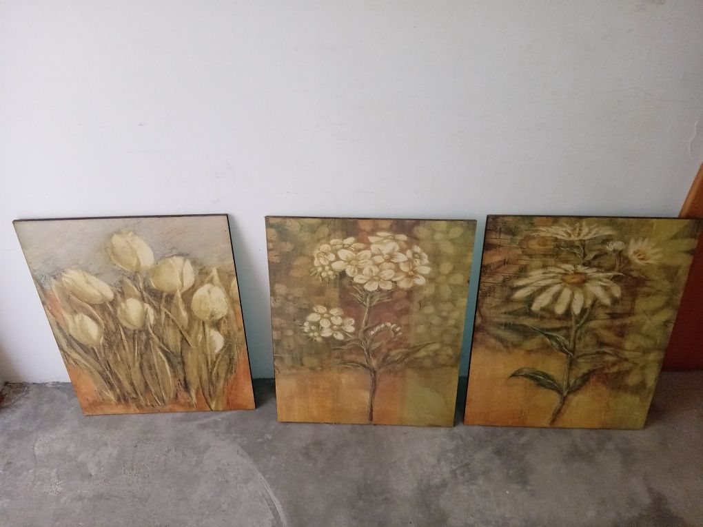 Quadros muito bonitos