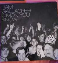 Płyta winylowa Liam Gallagher