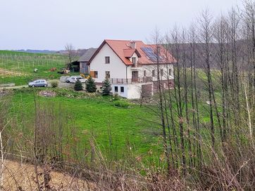 Dom oraz winnica na sprzedaż