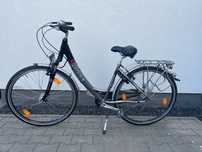 Rower Pegasus, damka, 28 cali