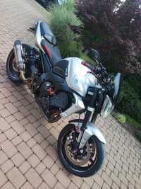 Yamaha FZ1 2009 MIVV