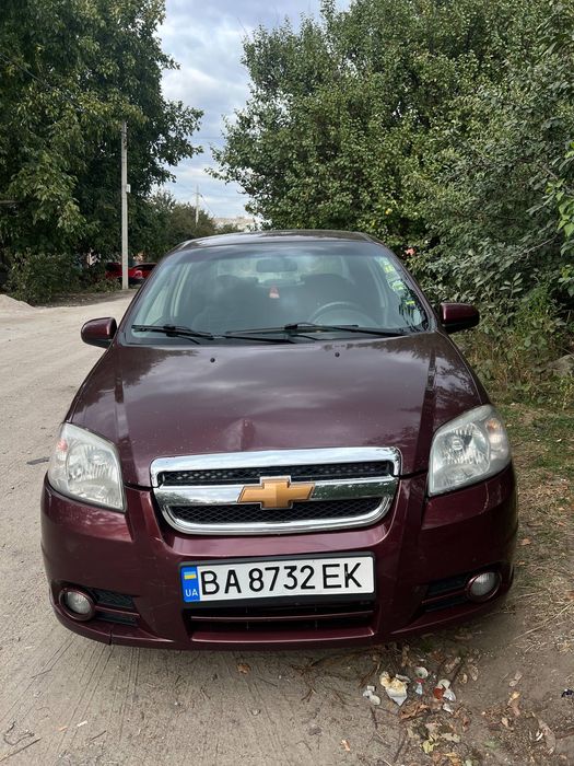 Аренда авто , аренда авео т250