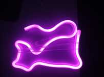 Neon w kształcie kota