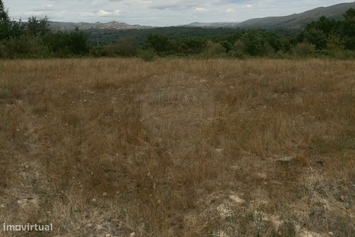 Terreno  para venda